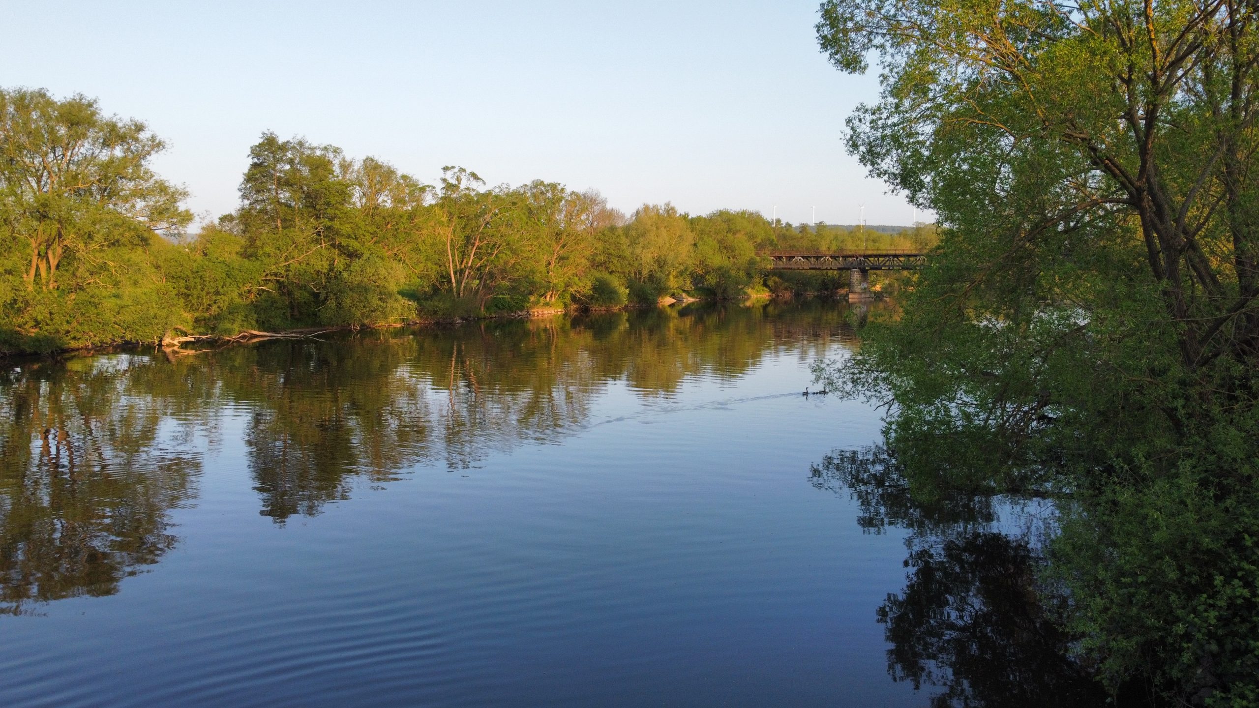 RemoteMediaFile_6553645_0_2022_05_08_7_57_08 PM 2