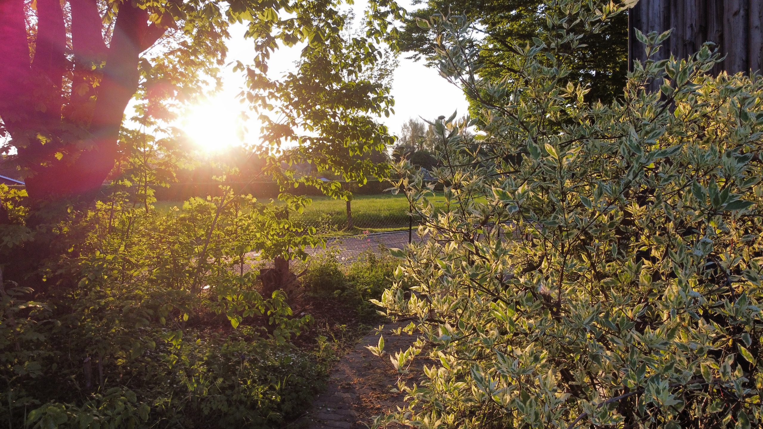 RemoteMediaFile_6553664_0_2022_05_08_8_08_28 PM 2